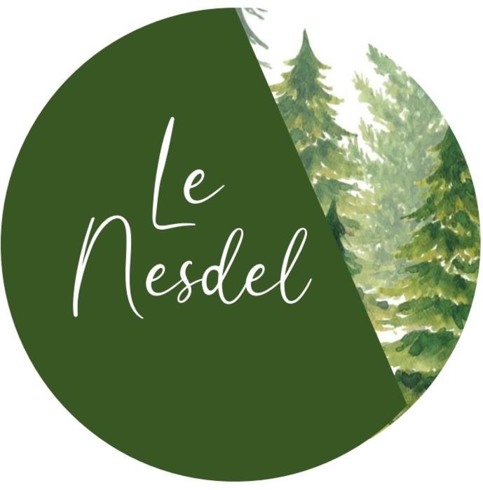 Le Nesdel Apartment Gerardmer Bagian luar foto